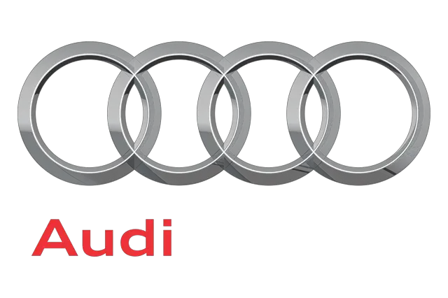 Audi Logo, 2009